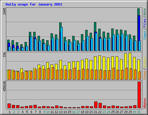 Daily usage for January 2021
