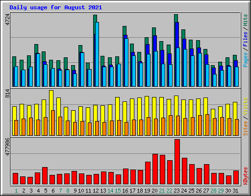 Daily usage for August 2021