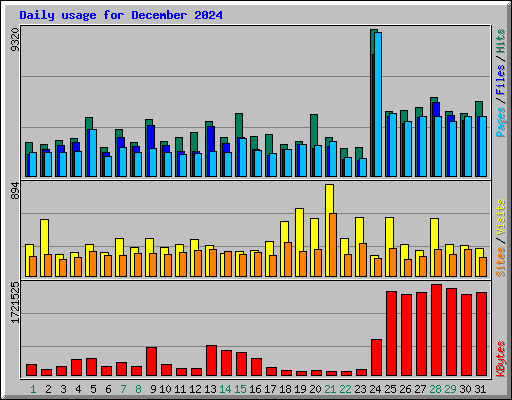 Daily usage for December 2024