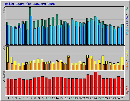 Daily usage for January 2025