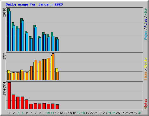 Daily usage for January 2026