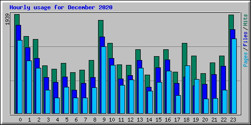 Hourly usage for December 2020