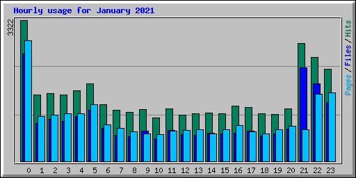 Hourly usage for January 2021
