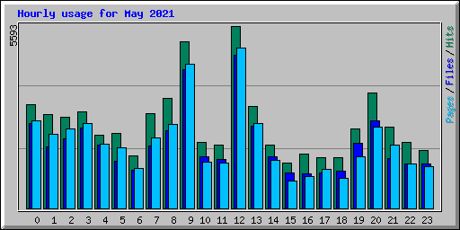 Hourly usage for May 2021