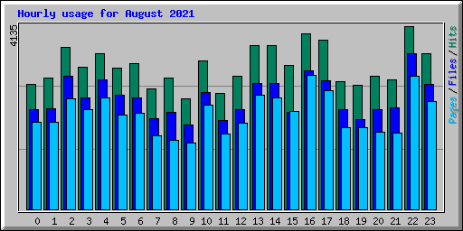 Hourly usage for August 2021