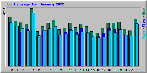 Hourly usage for January 2022