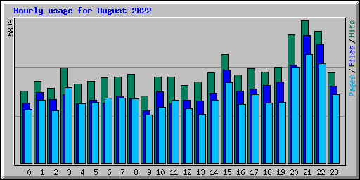 Hourly usage for August 2022