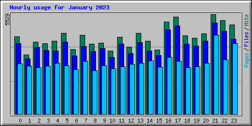 Hourly usage for January 2023