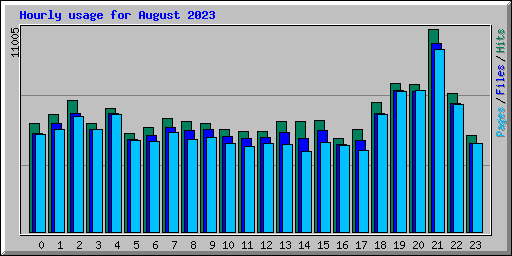 Hourly usage for August 2023