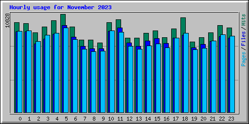 Hourly usage for November 2023