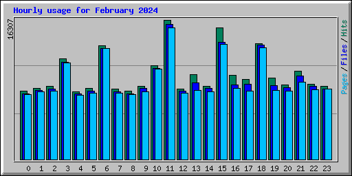 Hourly usage for February 2024