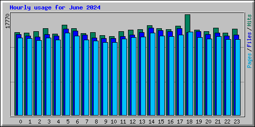 Hourly usage for June 2024