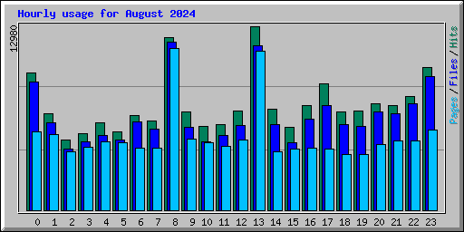 Hourly usage for August 2024