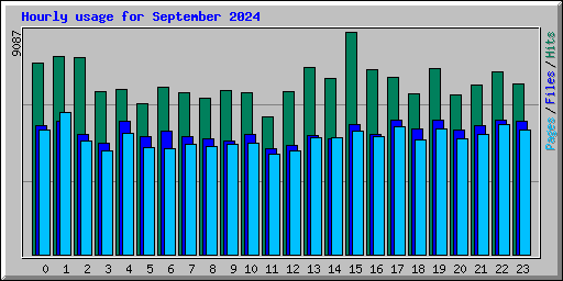 Hourly usage for September 2024