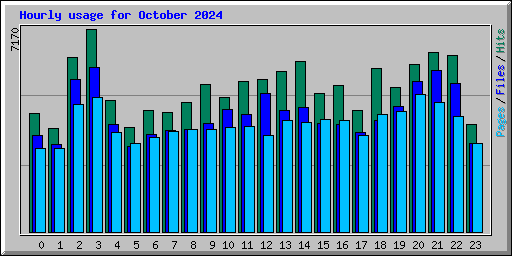 Hourly usage for October 2024