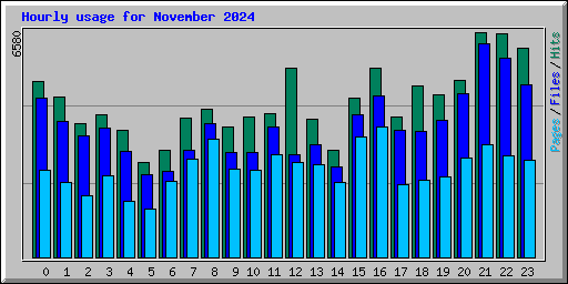 Hourly usage for November 2024
