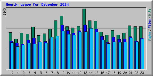 Hourly usage for December 2024