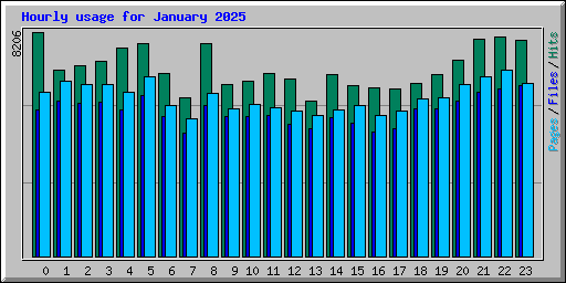 Hourly usage for January 2025