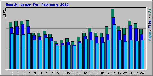 Hourly usage for February 2025