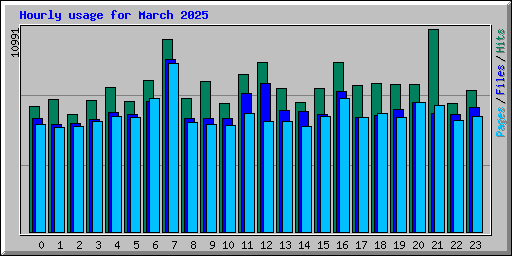 Hourly usage for March 2025