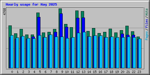 Hourly usage for May 2025