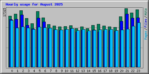 Hourly usage for August 2025
