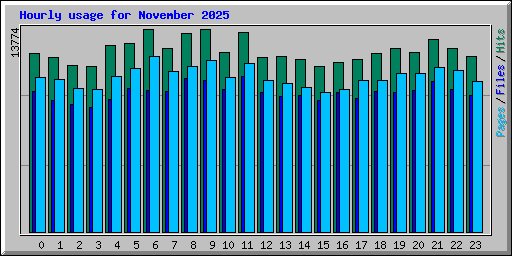 Hourly usage for November 2025