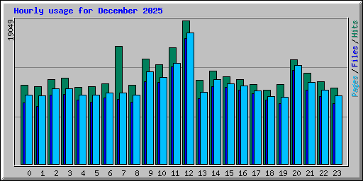 Hourly usage for December 2025