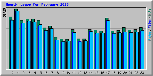 Hourly usage for February 2026