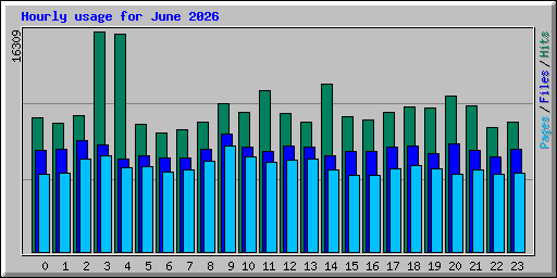Hourly usage for June 2026