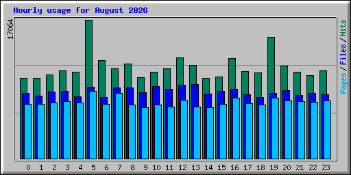 Hourly usage for August 2026